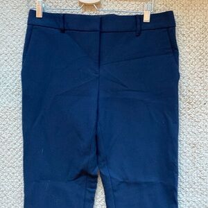 Ann Taylor David fit navy trousers